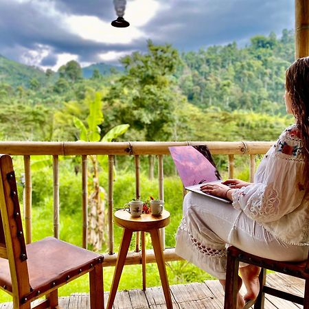 Hacienda Venecia Hostel San Peregrino Экстерьер фото