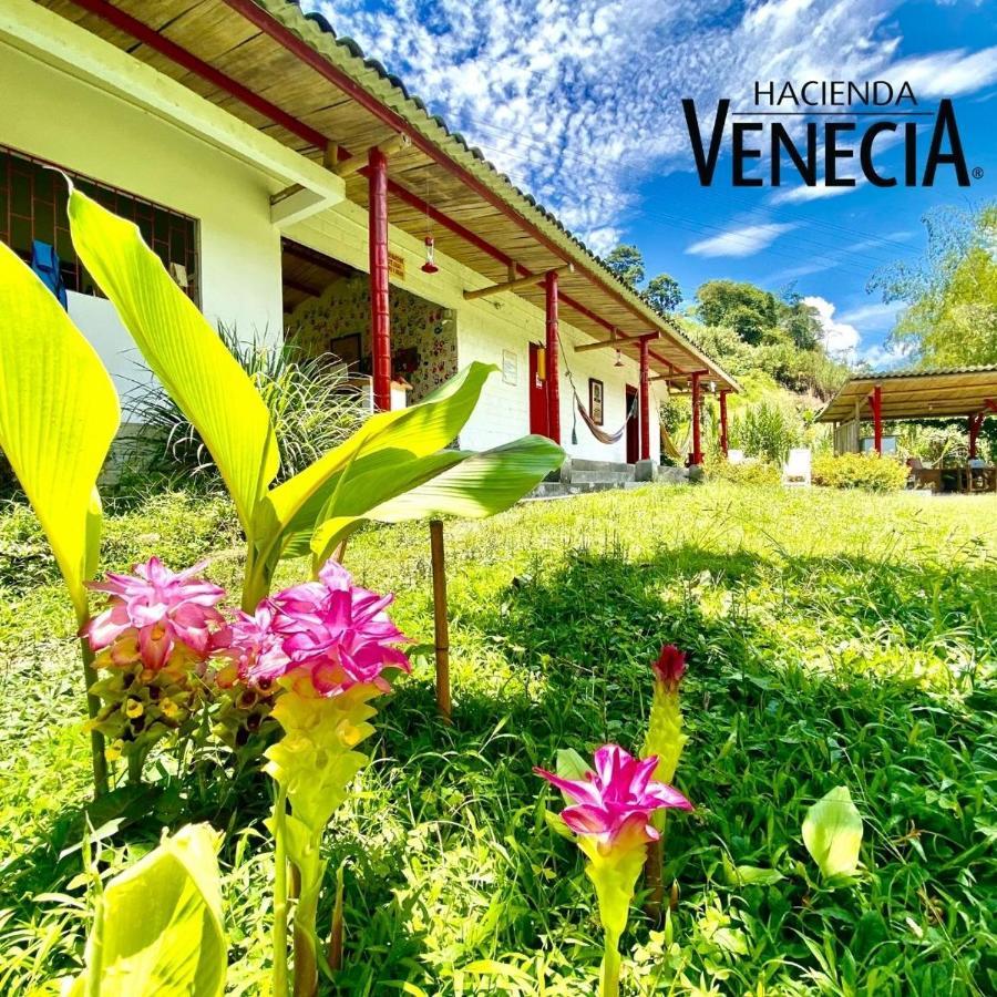 Hacienda Venecia Hostel San Peregrino Экстерьер фото